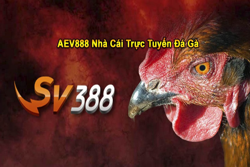 Đá gà Sv388 là gì?